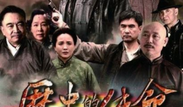 历史的使命电视剧,谱写民族复兴的壮丽篇章